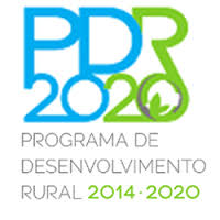 Apoios a pequenos investimentos no âmbito da medida “Leader” no PDR 2020