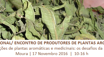 Seminário/ Encontro de produtores de PAM terá lugar em Moura a 17 de Novembro