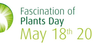 A 18 de Maio comemora-se o 4º Dia Internacional do Fascínio das Plantas