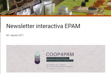 Newsletter Interactiva EPAM N2 | Agosto 2017
