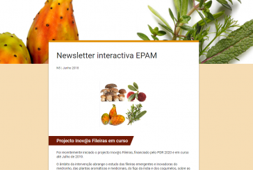 Newsletter interactiva EPAM N5 | Junho 2018