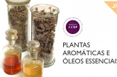 12ª edição do curso de ensino a distância “Plantas aromáticas e óleos essenciais” da Universidade de Coimbra