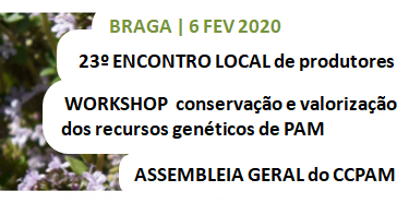 Jornada de PAM vai realizar-se em Braga